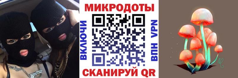 где можно купить наркотик  Александровск  Галлюциногенные грибы Cubensis 