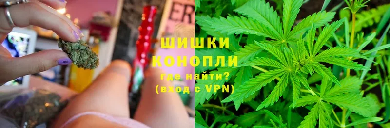 Шишки марихуана семена  Александровск 